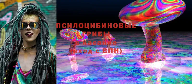 купить наркотики сайты  Спасск-Рязанский  Галлюциногенные грибы Magic Shrooms 